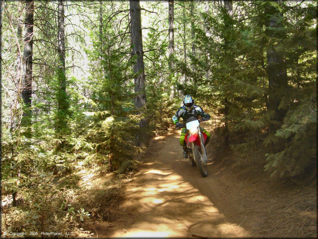 Honda CRF Off-Road Bike at Gold Note Trails