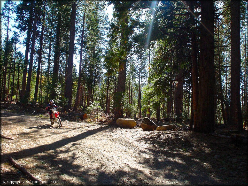 Honda CRF Motorbike at Indian Springs Trail