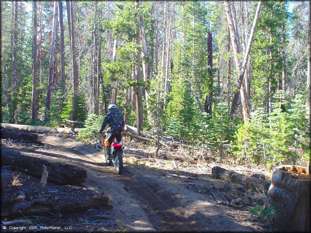 Honda CRF Dirtbike at Genoa Peak Trail