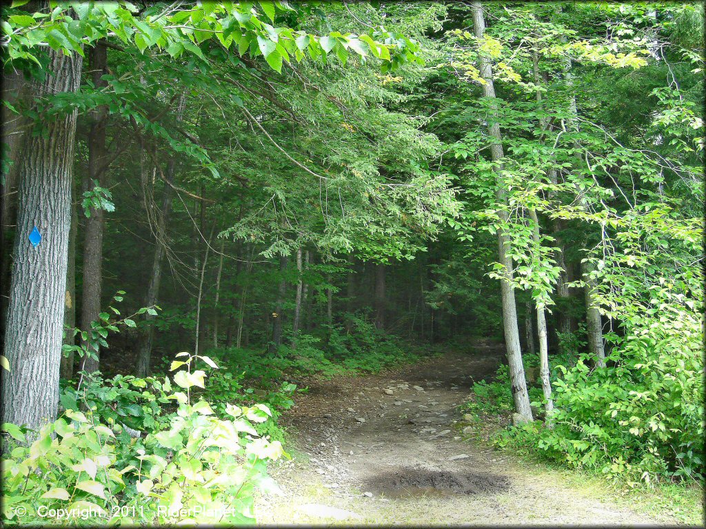Pisgah State Park Trail