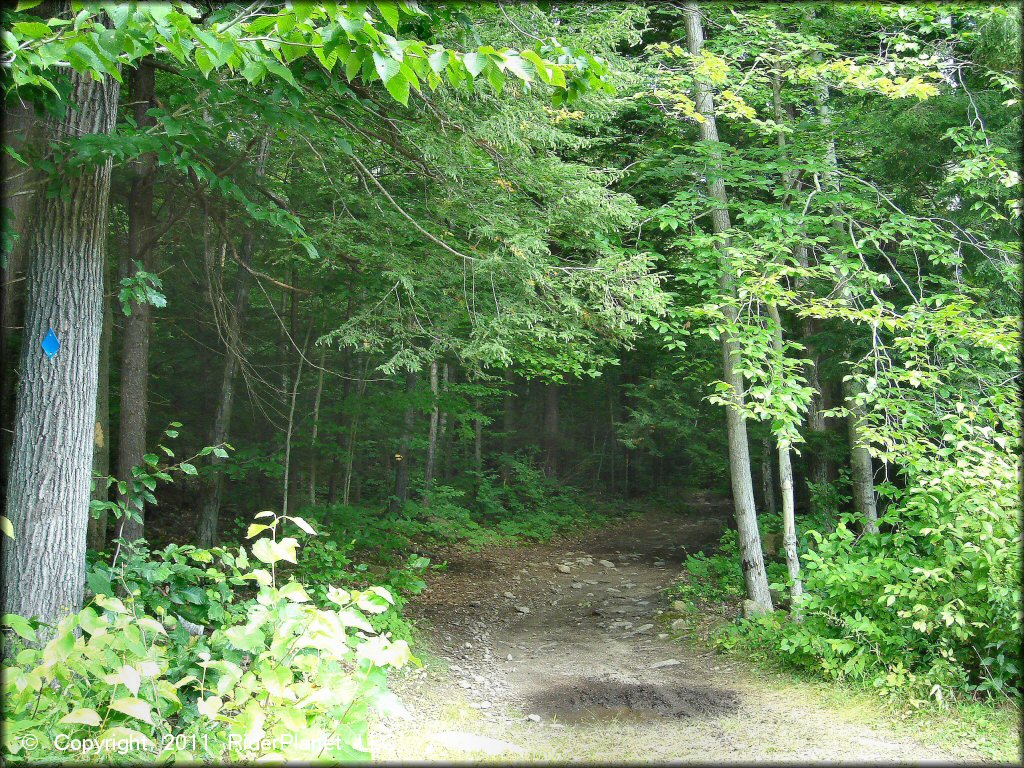 Terrain example at Pisgah State Park Trail