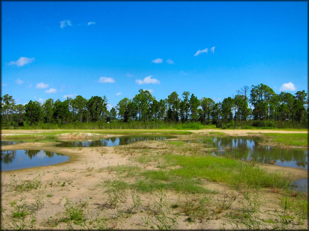 Redneck Mud Park Trail