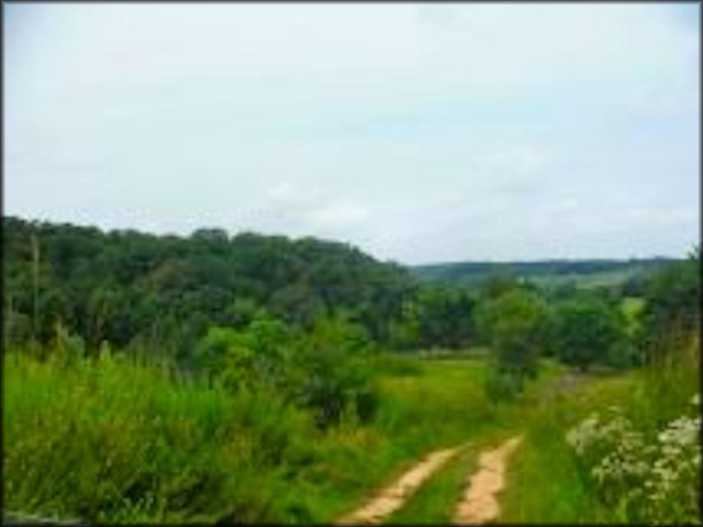 Harpole's Heartland Lodge and Resort Trail