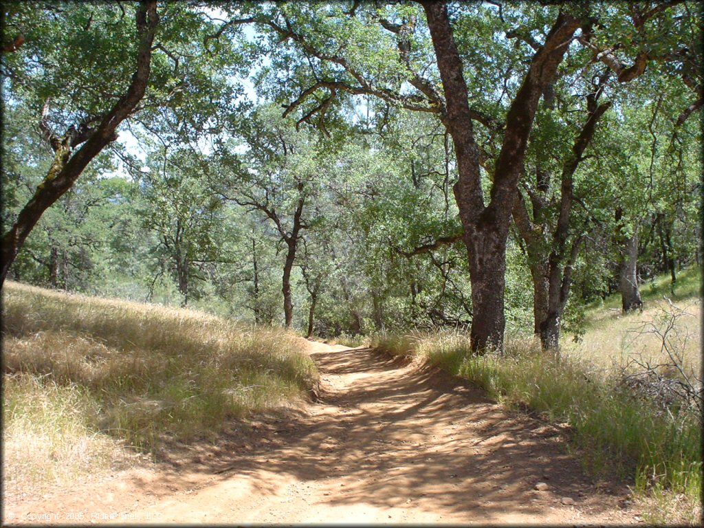 Terrain example at Mammoth Bar OHV OHV Area
