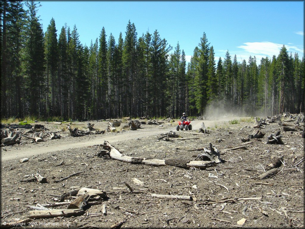 Girl riding a Honda OHV at South Camp Peak Loop Trail