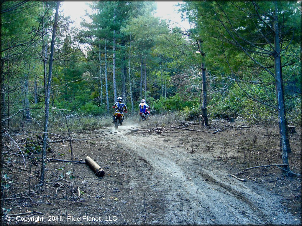 Honda CRF Dirt Bike at Hodges Village Dam Trail