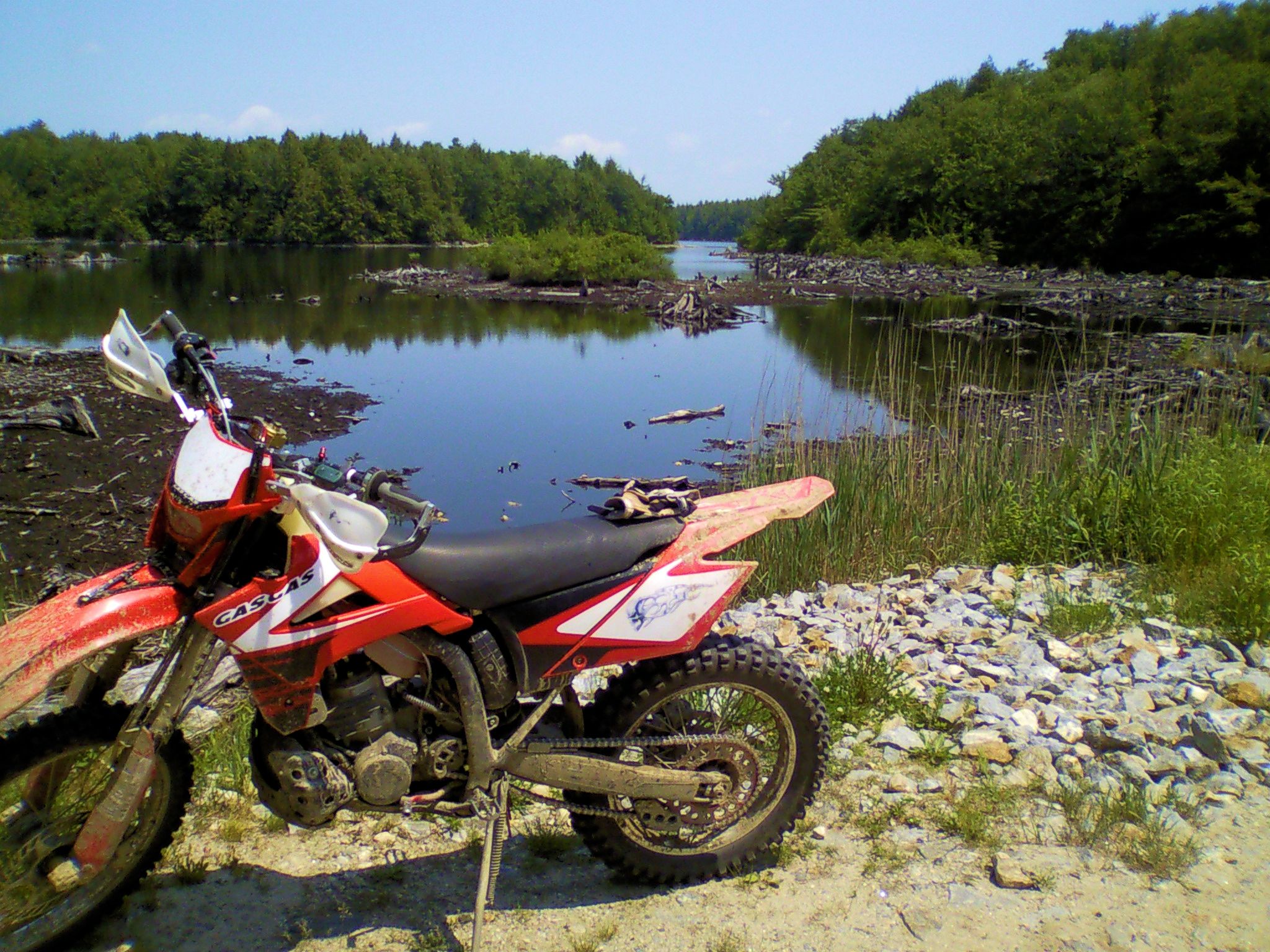 Tolland State Forest Trail