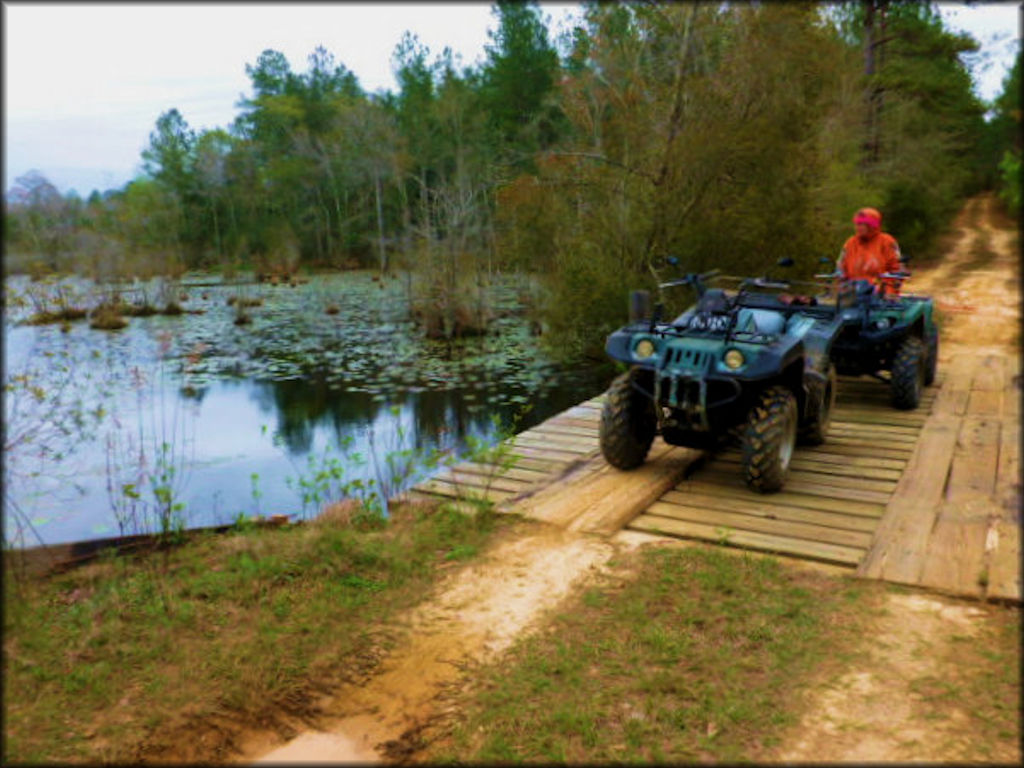 Geneva State Forest Trail