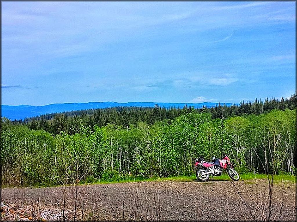 Nicolai Mountain OHV Area Trail