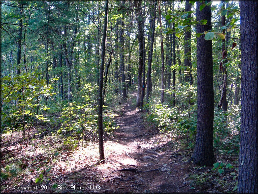 Example of terrain at Hodges Village Dam Trail