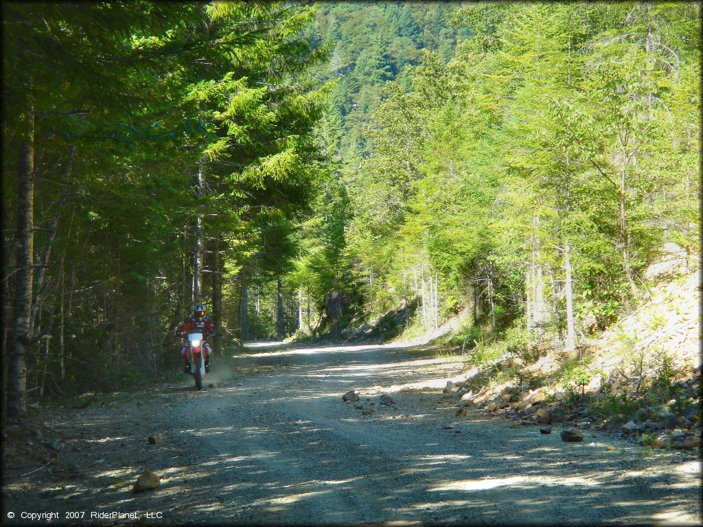 Honda CRF Dirtbike at Rattlesnake Ridge Area Trail