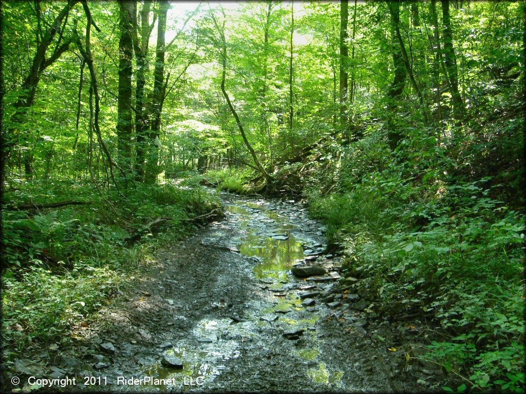 Terrain example at Tall Pines ATV Park Trail