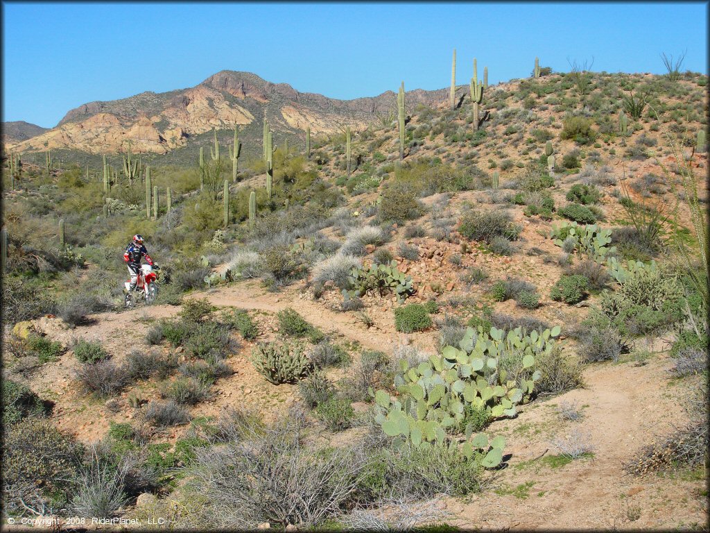 Honda CRF Motorcycle at Bulldog Canyon OHV Area Trail