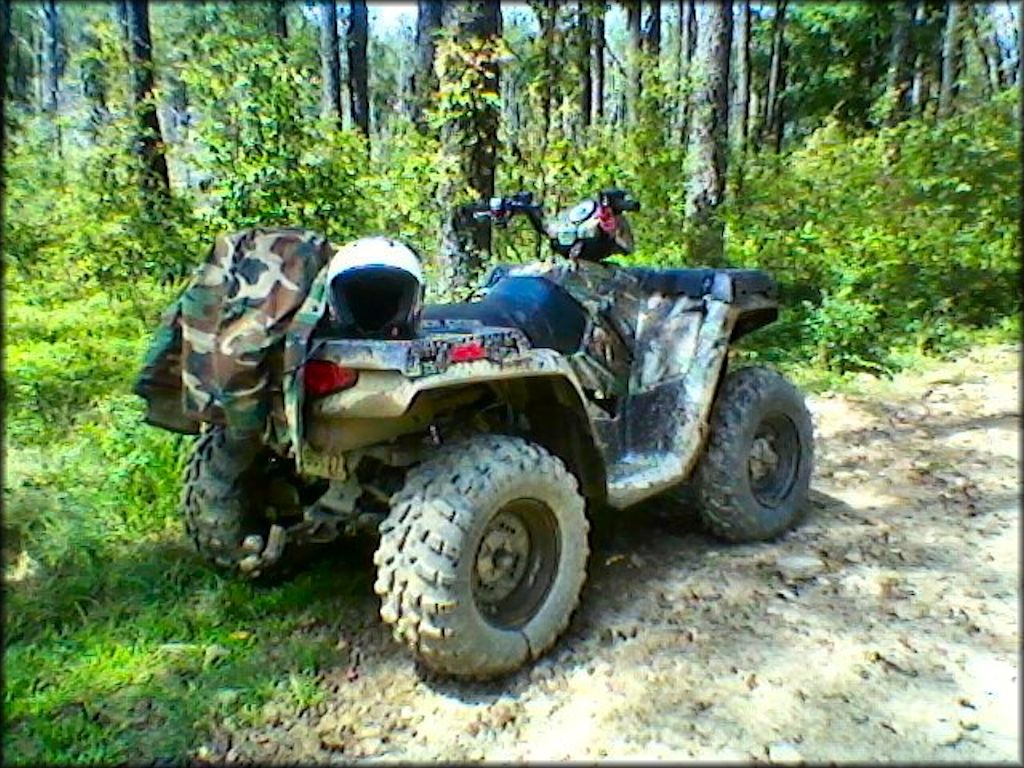 OHV at Marienville & Timberline OHV Trails