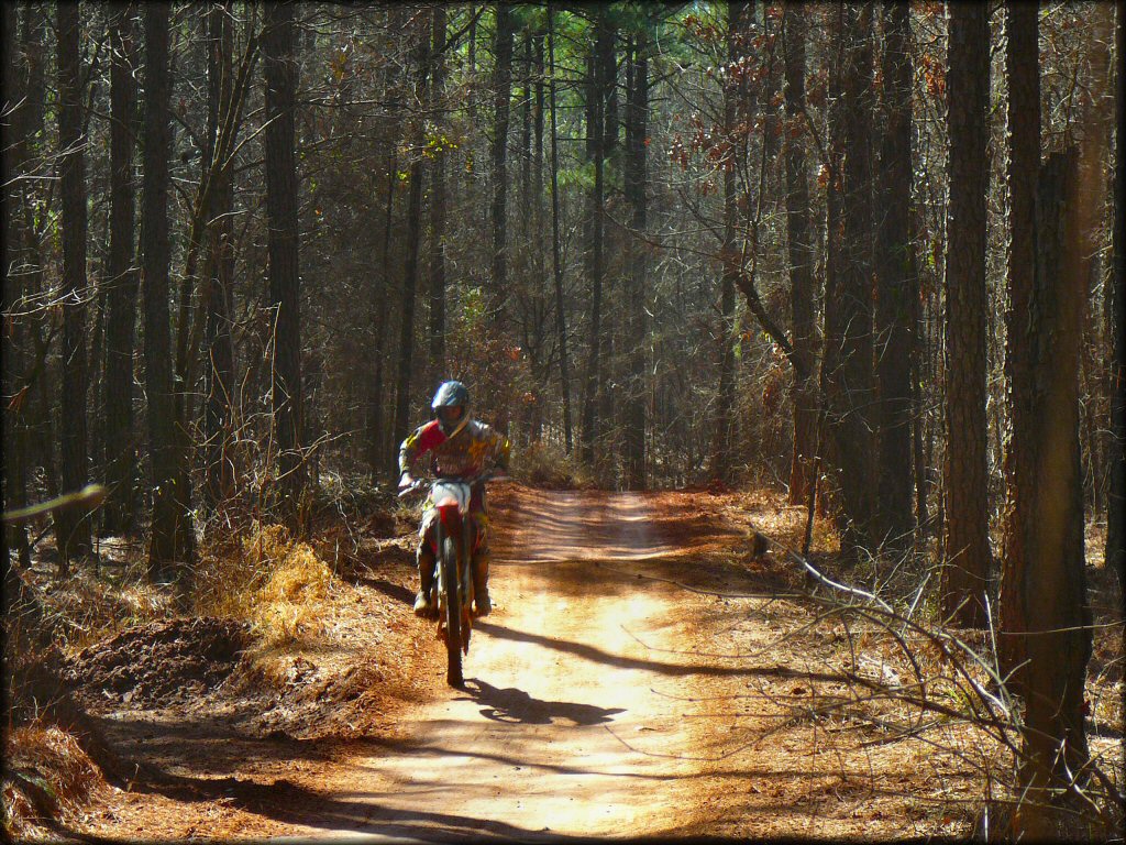 Young man riding Honda dirt bike popping a wheelie down ATV trail.