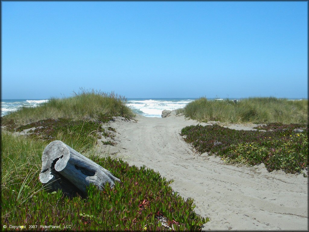 Samoa Sand Dunes OHV Area