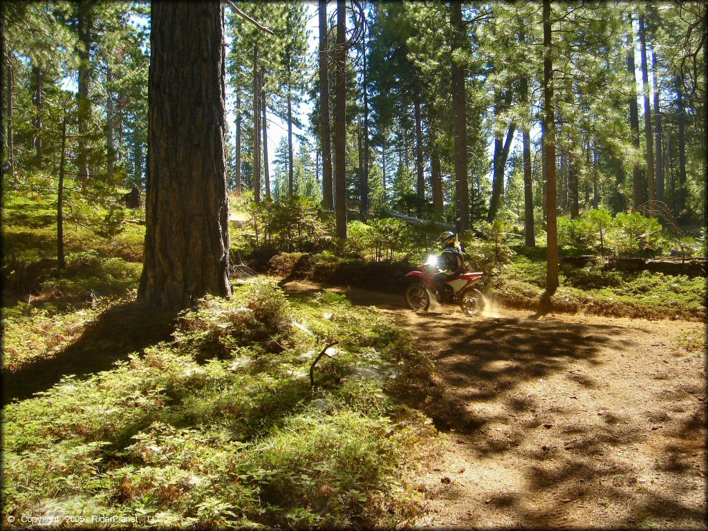 Honda CRF Motorcycle at Interface Recreation Trails