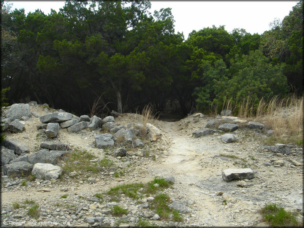 Some terrain at Emma Long Metropolitan Park Trail