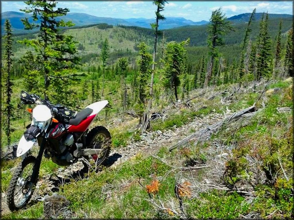 Ashley Lake OHV Trail System