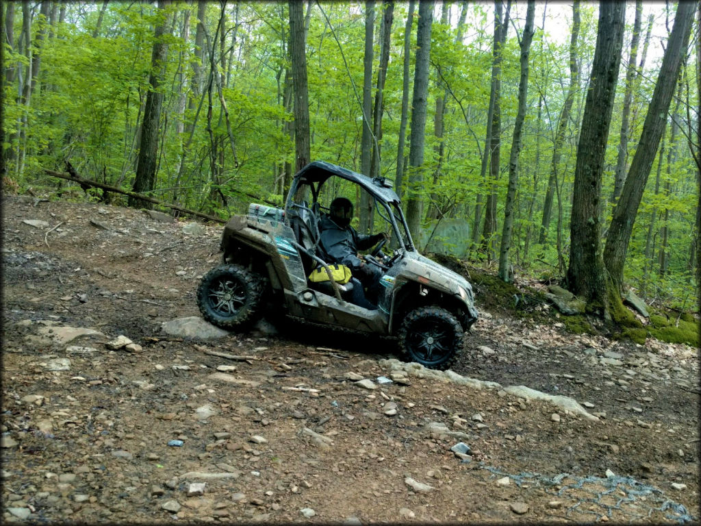 UTV on Trail in the Woods