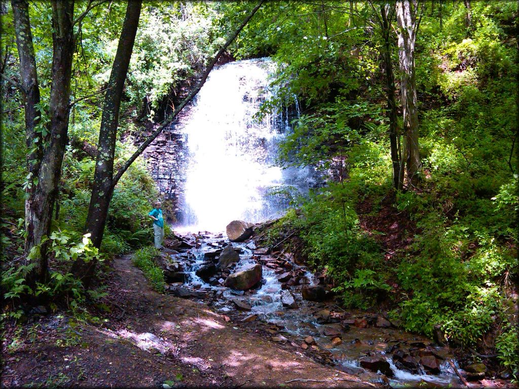 A scenic view of a young child standing next to a waterfall surrounded by trees.