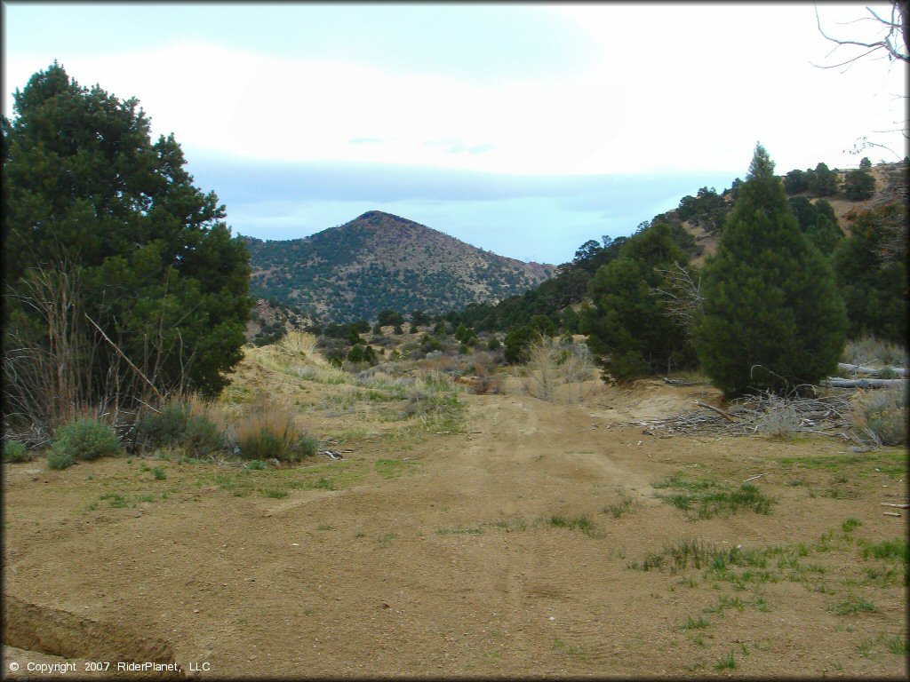 A trail at Sevenmile Canyon Trail