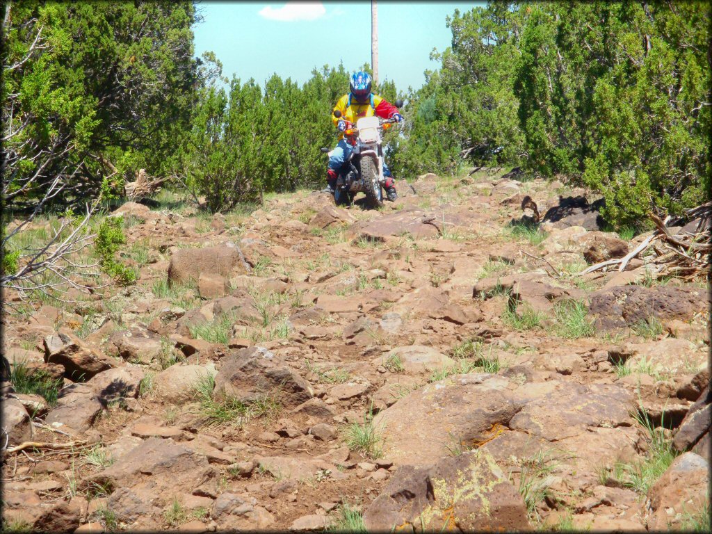 Off-Road Bike at Maverick Trail