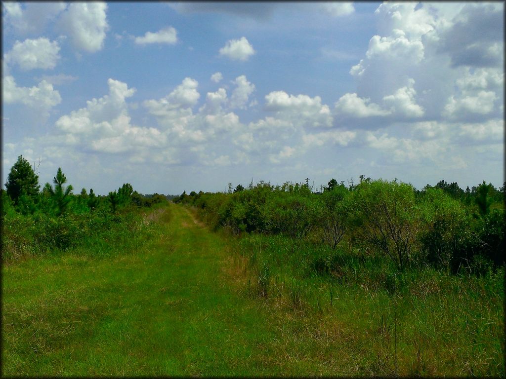 Mallory Swamp ATV Trail