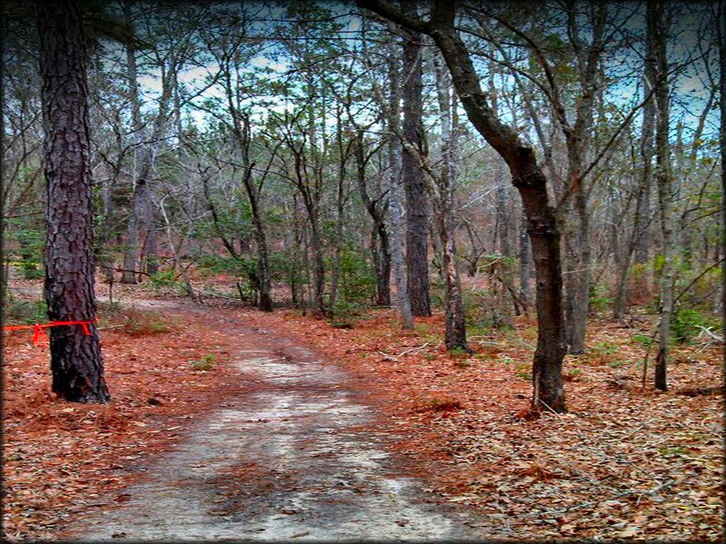 Example of terrain at MX 56 Track and Trails OHV Area