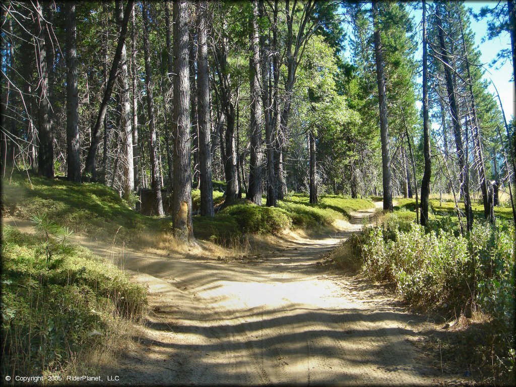 A trail at Miami Creek OHV Area Trail
