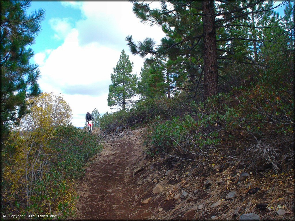 Honda CRF Dirt Bike at Prosser Hill OHV Area Trail