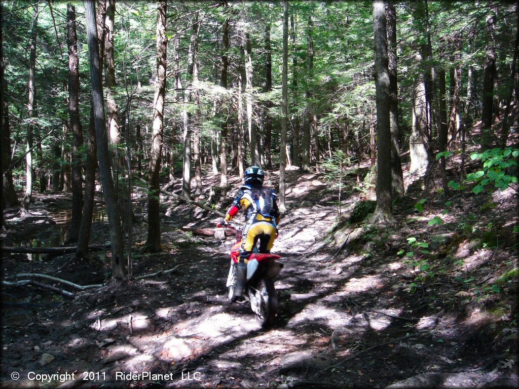 Honda CRF Trail Bike at Beartown State Forest Trail