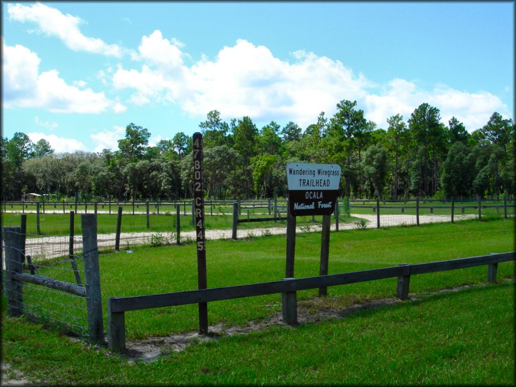 Wandering Wiregrass OHV Trail