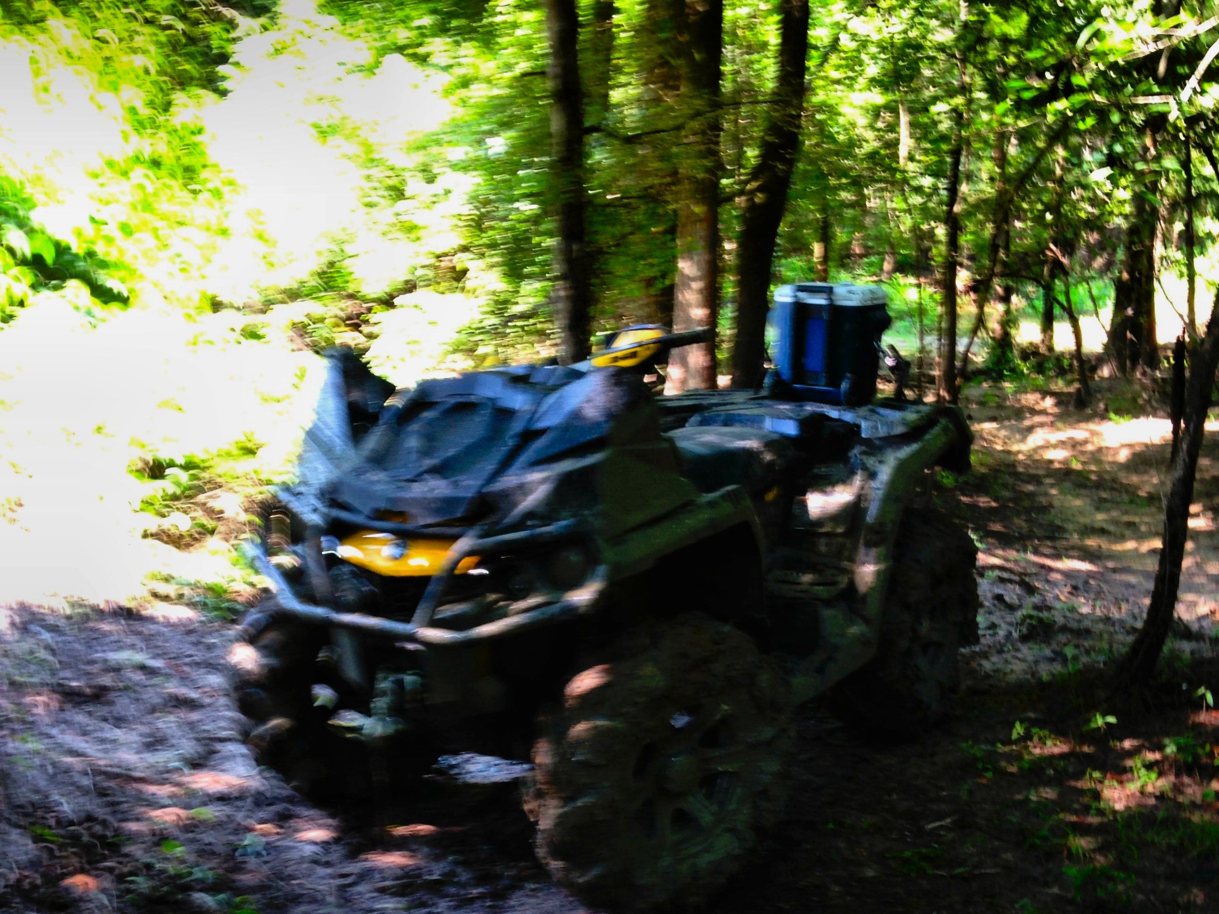 Cooterville Mud Rides Trail