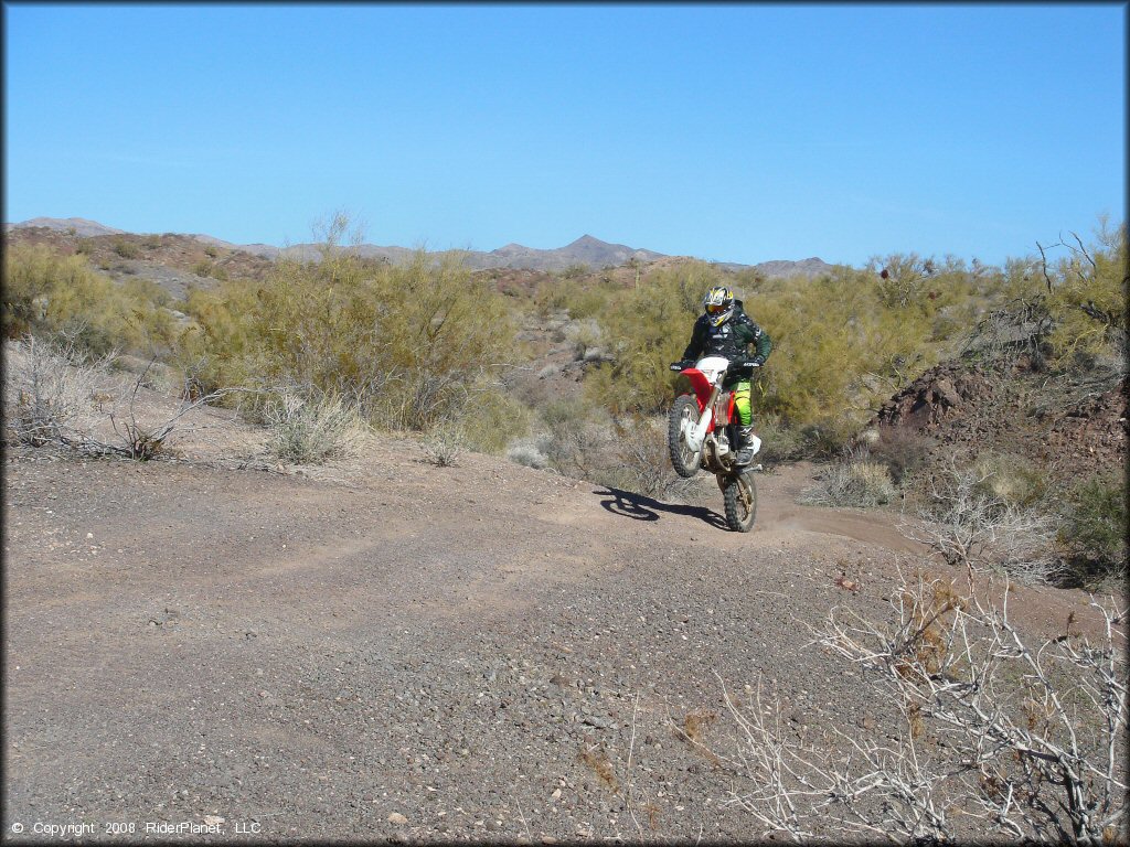 Honda CRF Dirt Bike doing a wheelie at Standard Wash Trail