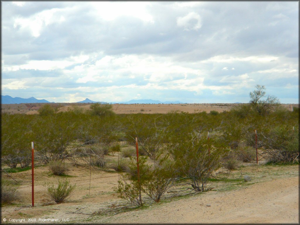 Scenery from Bowl Riding Area