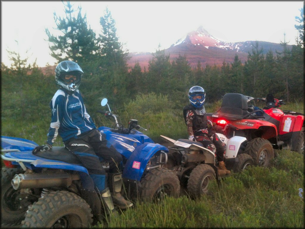 Santiam Pass OHV Area Trail