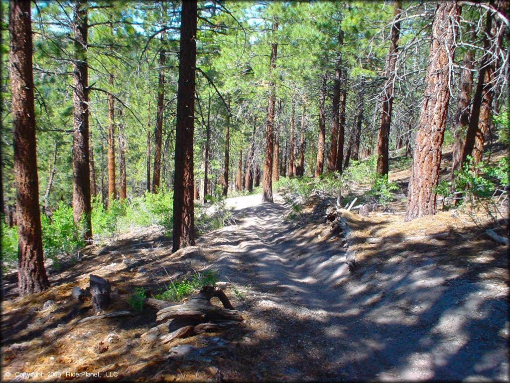 Mammoth Lakes Trail