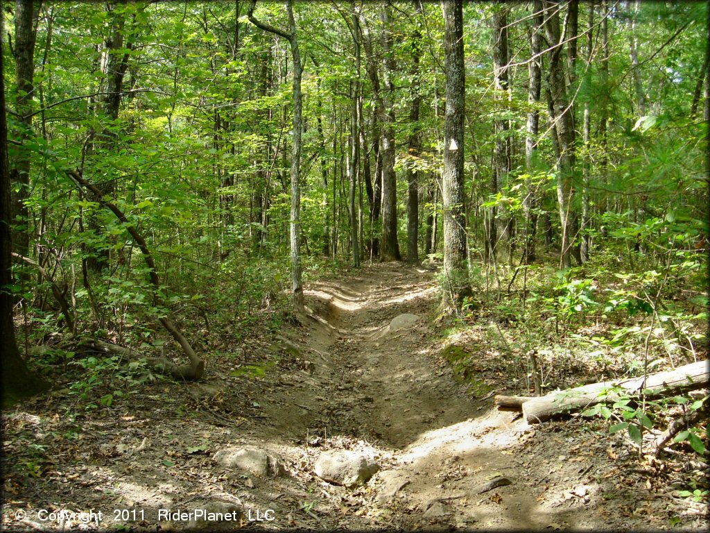 Terrain example at Franklin Trails