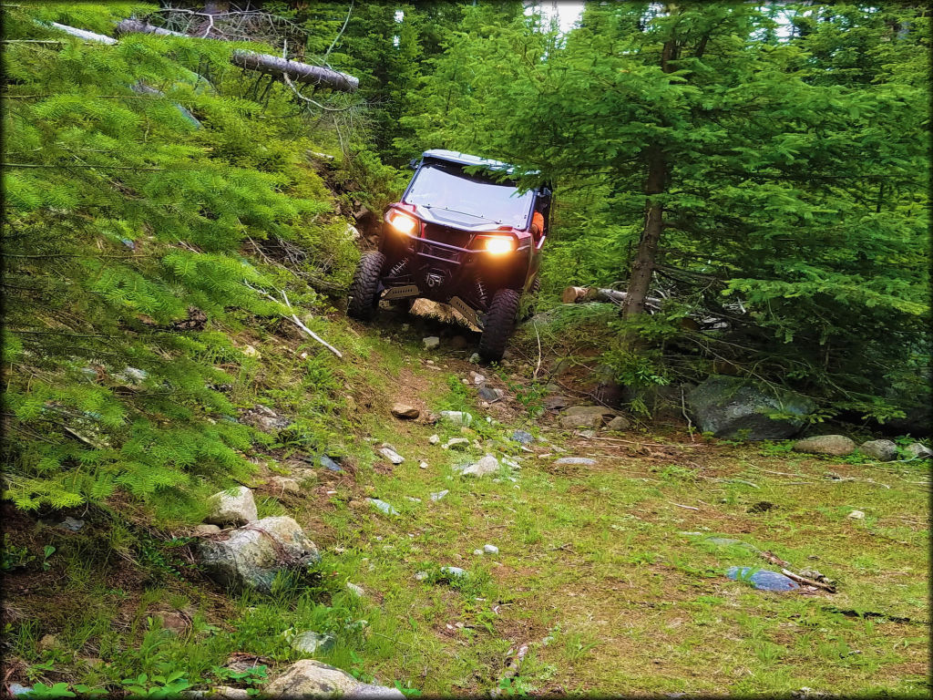 Twin Sisters and Mack King Trails