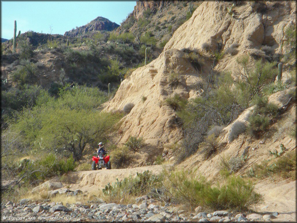 Scenic photo of Honda TRX250 in the Sonoran Desert.