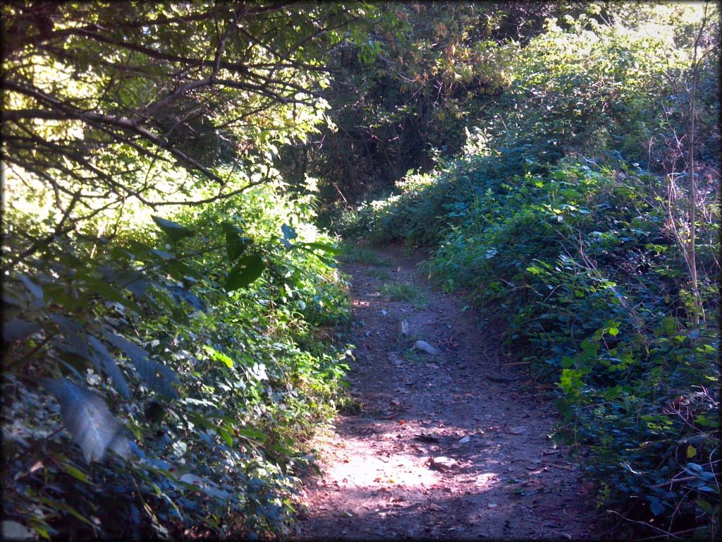 Riverside ATV Park OHV Area