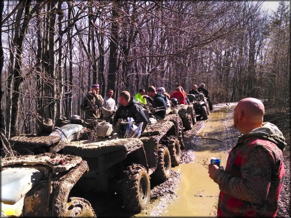 Apalachicola National Forest Trail