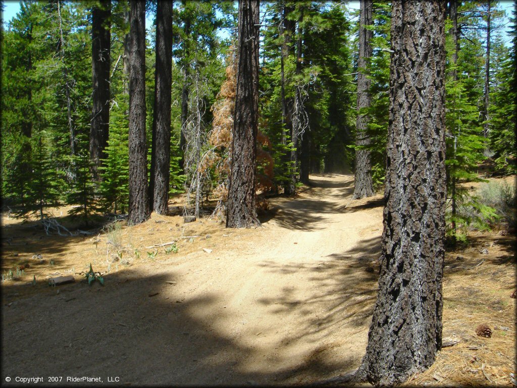 A trail at Twin Peaks And Sand Pit Trail