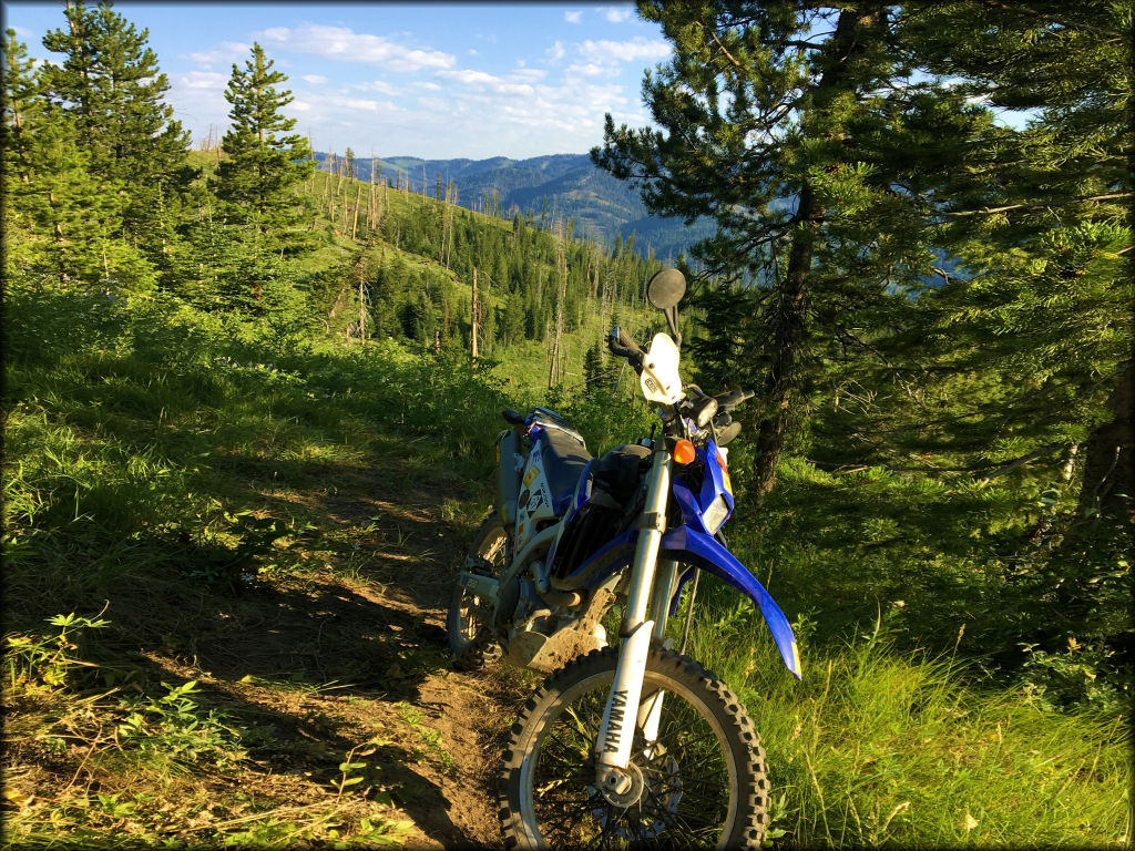 Mosquito Creek Trail