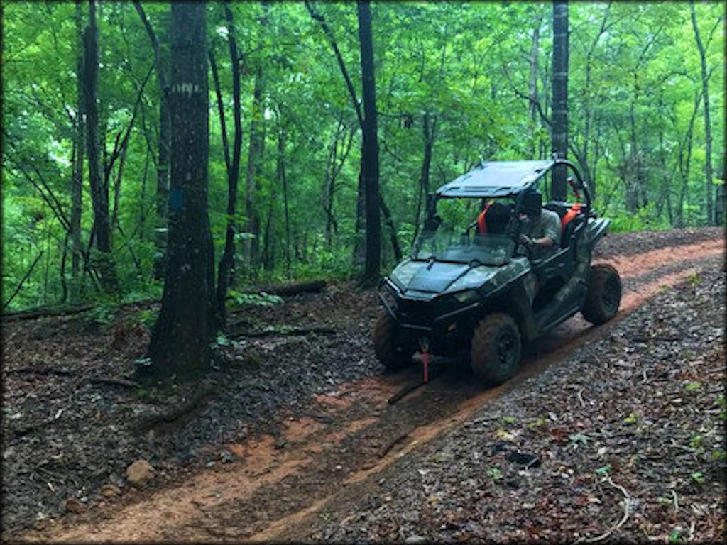 Parson's Mountain Recreation Area Trail