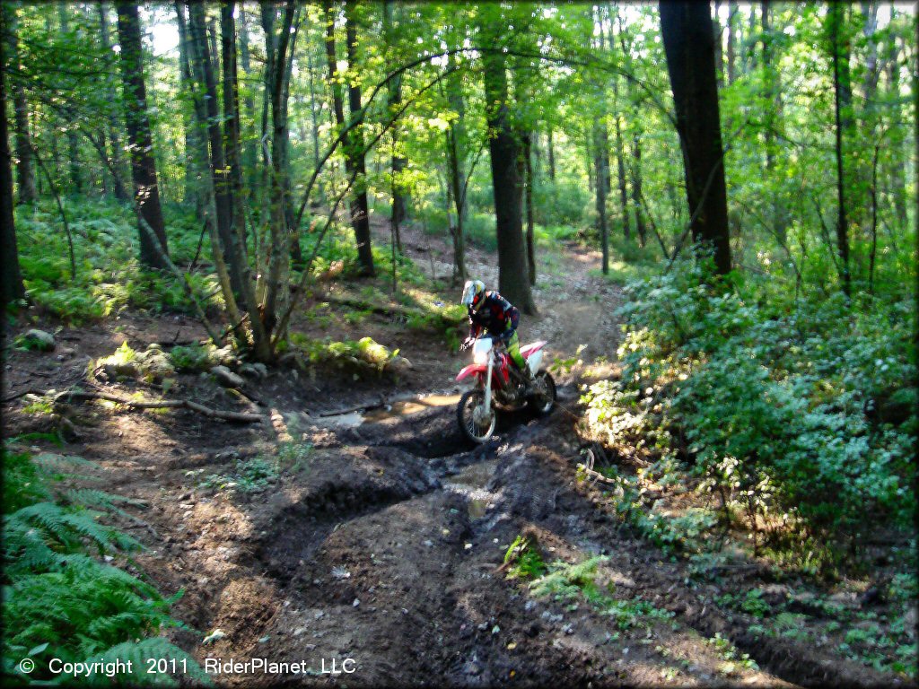 OHV at Freetown-Fall River State Forest Trail