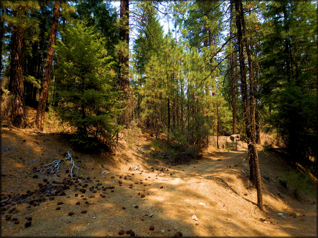 Humbug OHV Area Trail