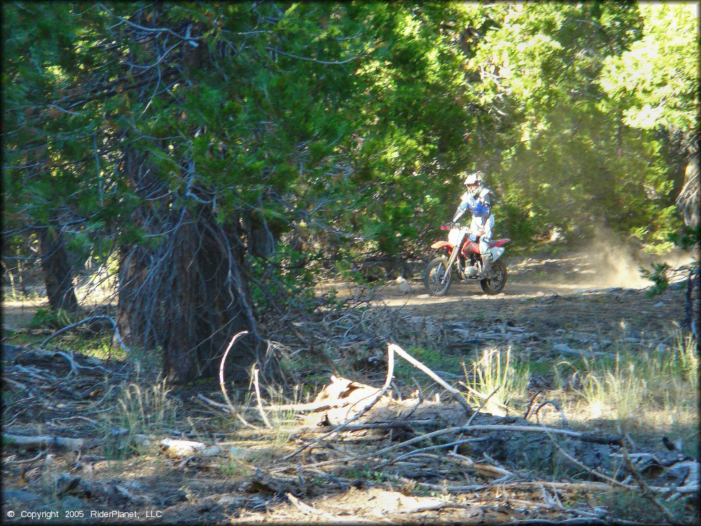 Honda CRF Dirt Bike at Black Springs OHV Network Trail