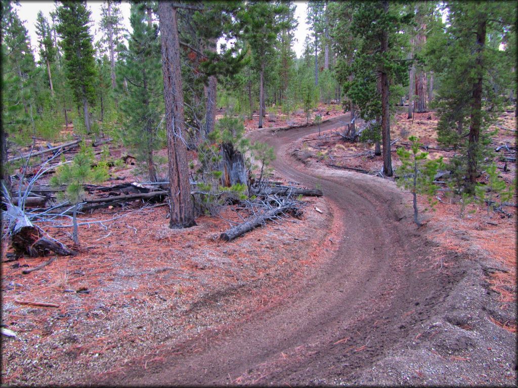 East Fort Rock OHV Trail System